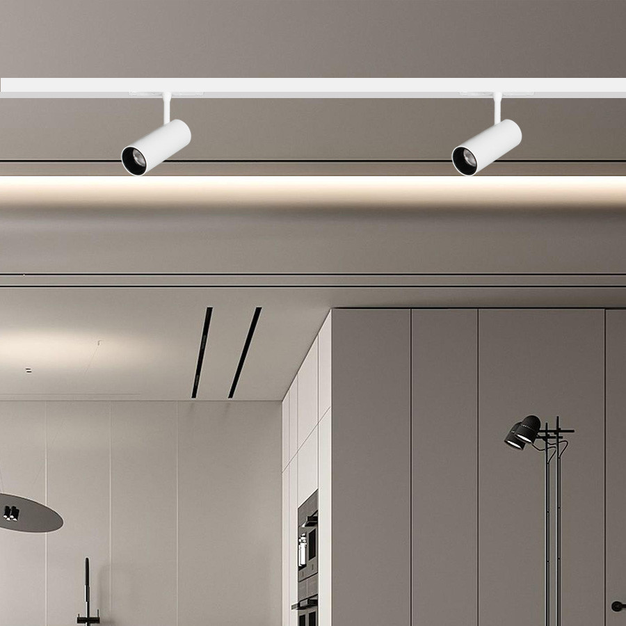 Magnetic - Reflektor za sine Home ML-3009-20W 3000K bijela