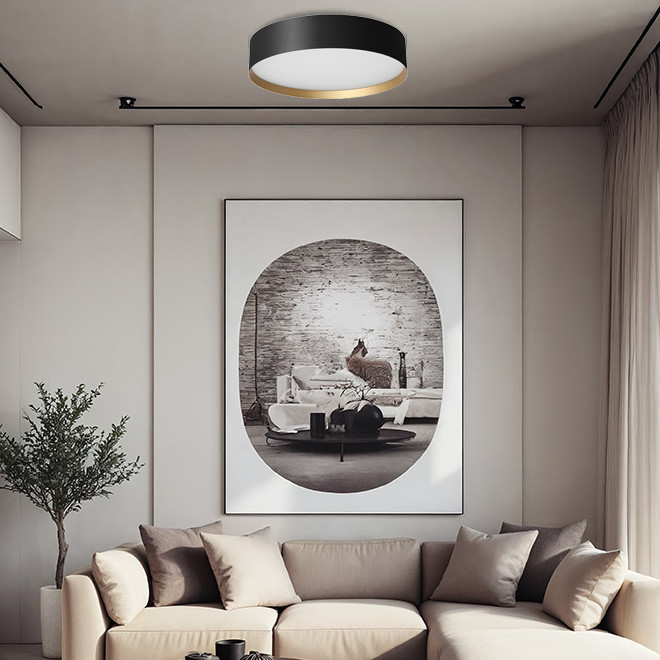 Plafonjera LED Arneta MSL-0290H-20W Crna+Zlatna