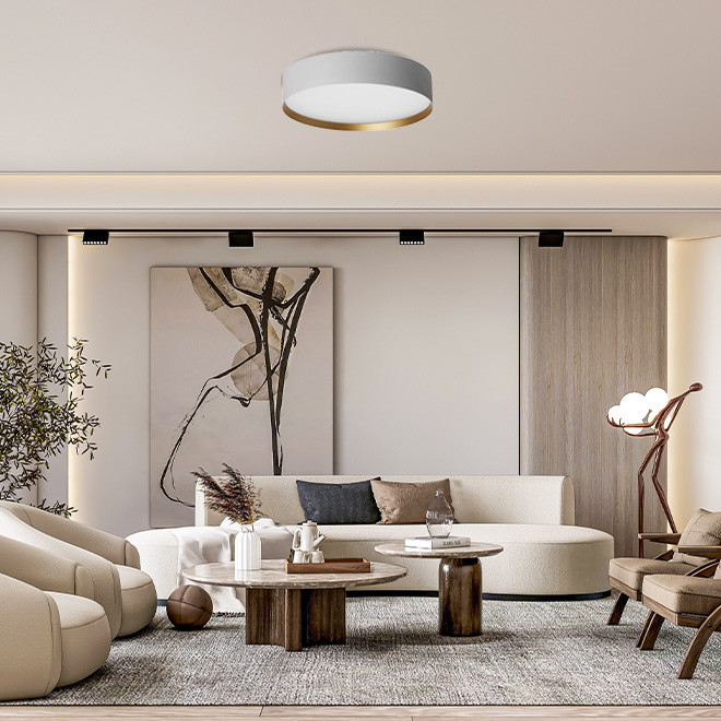 Plafonjera LED Arneta MSL-0290H-20W Bijela+Zlatna