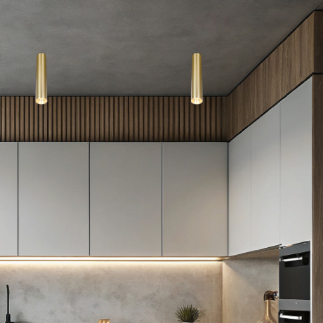 Downlight Damsgard ML-3160-60-H30 Zlatni