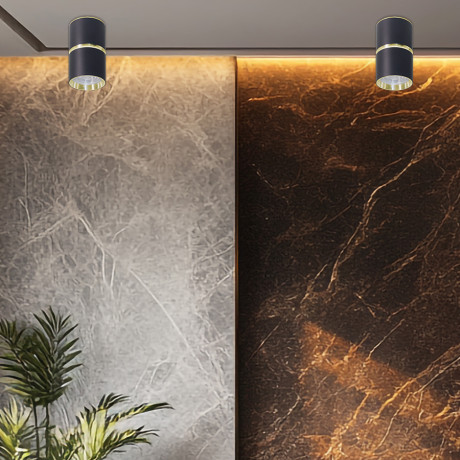 Downlight Genesis ML-2168-01C Crna