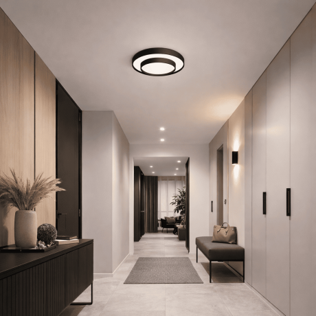 Plafonjera LED E-light Franka EL-1019 24W 3000K-4000K-6500K crna