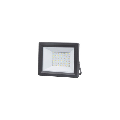 LED reflektor E-light 30W 6400K crni